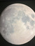 Selene