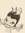 YoshimotoReads