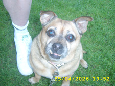millie