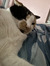 Abby S.
