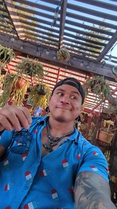 MADMAXX