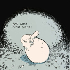 bunny