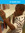 Rasheed H