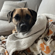 Lucy