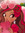 strawberrymatchaprincess