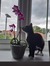 Tilly F...