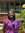 Sandra Gunga