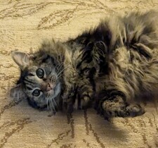 Nadia