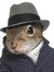 Webcat