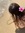 peyy ୨ৎ