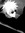 ⋆. 𐙚˚࿔ Nasi 𝜗𝜚˚⋆