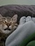 ♧*Ange1...