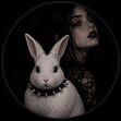 Vαɱριɾҽ Bυɳɳყ