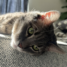 carly