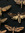 gaïa