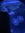cora