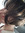 renato