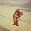 Tara