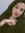 Hiba
