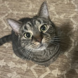 Jillian
