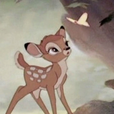 Sofia 🦌