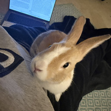 Mia