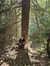 Tuva