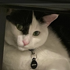 dan