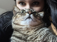 luizi