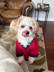 Grace Lilly