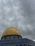 مَلك