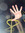 𝜗ৎ lyla ໑ৎ (guess who’s back ia)