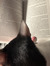 Rina Reads