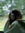 potatoe ⏾⋆.˚[mental health ia] [rest in peace estelle] | 2 comments