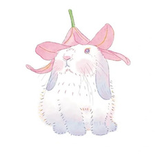 jasmine •｡ꪆৎ ˚⋅