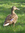 Brenda | 278 comments