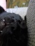 Keily