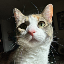 maddy