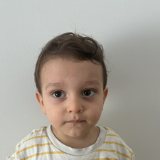 Aylak Akrep