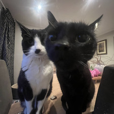 Carly