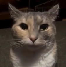 Nik