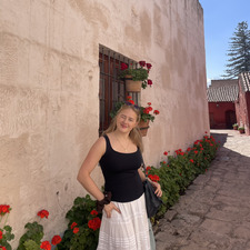 Vilde Ladstein