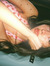 Alessia