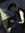 arjin (regulus’ version)