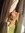 Noah_king