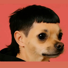 Lance Chau