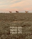 Thisbe {Praise God!}