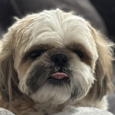 Abbie!