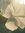 Israa