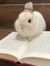 Bunny U...